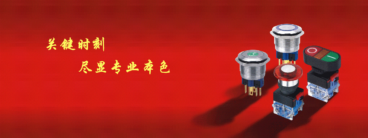 中國(guó)·紅波按鈕制造有限公司